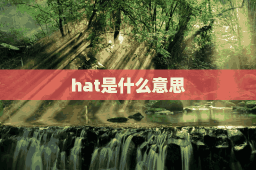 hat是什么意思